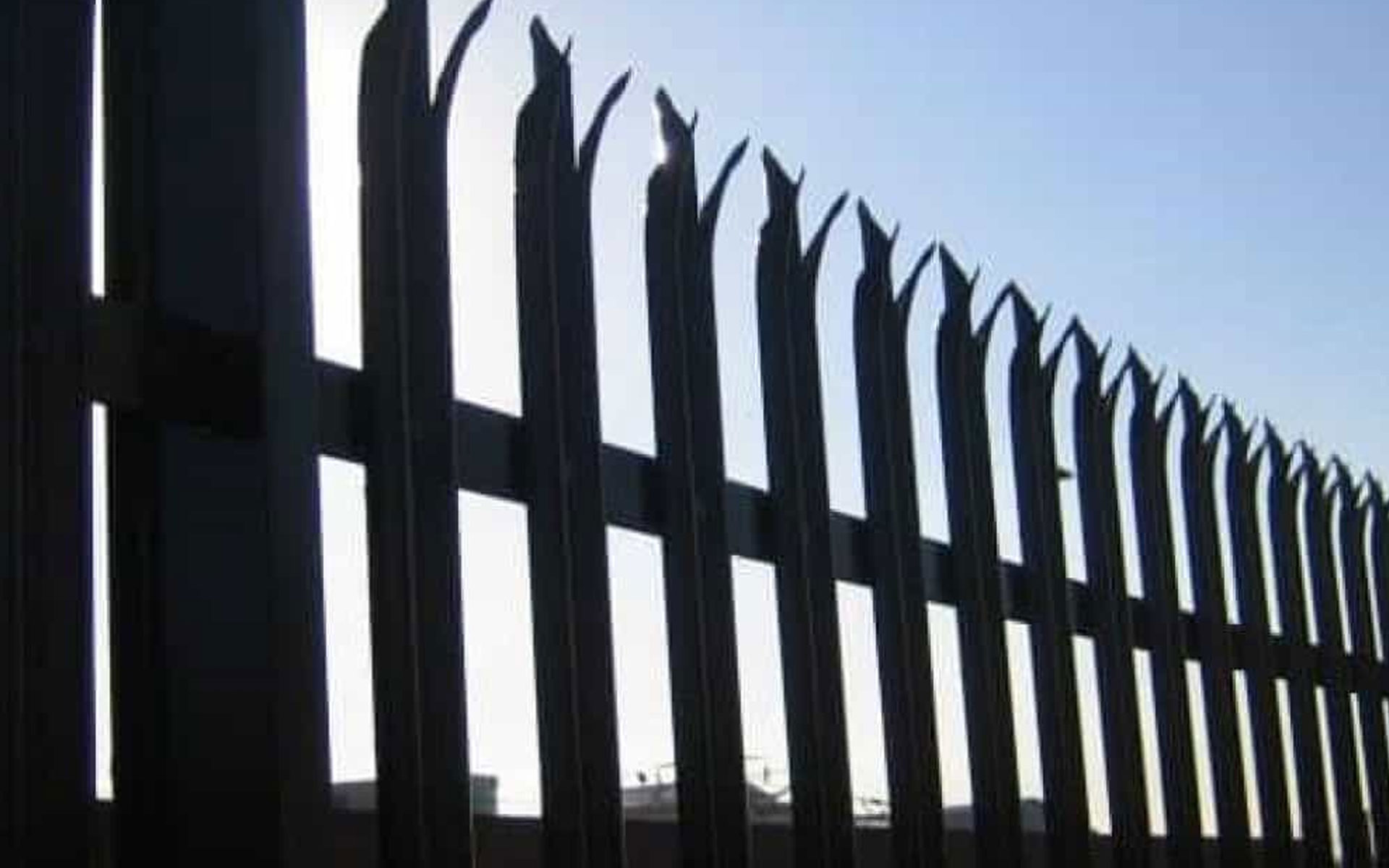 palisade